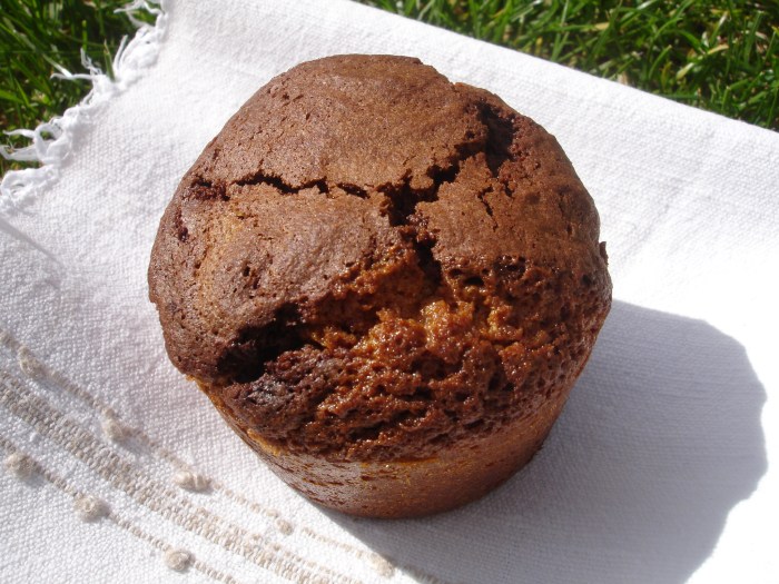 Muffins marbré chocolat-pistache