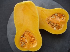 Courge butternut