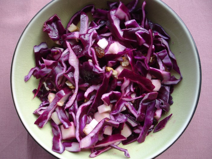 Salade de chou rouge acidulée