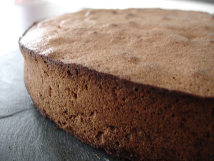 Moelleux au chocolat