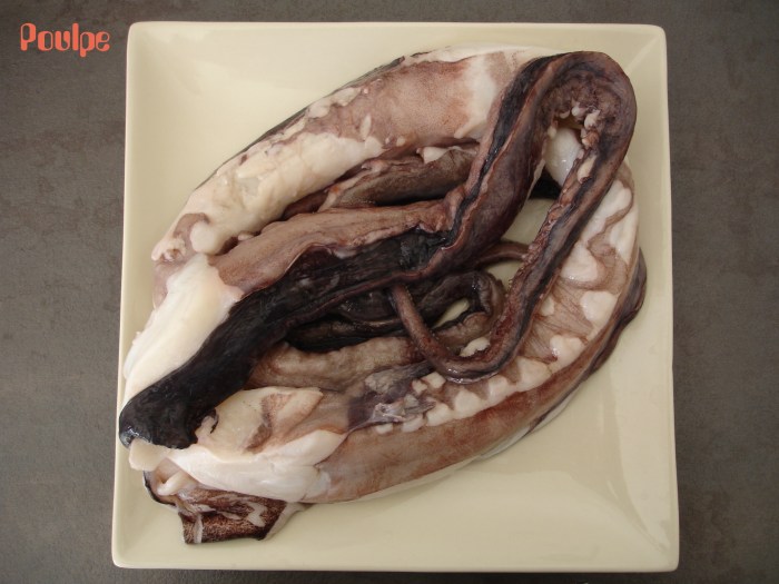 Poulpe