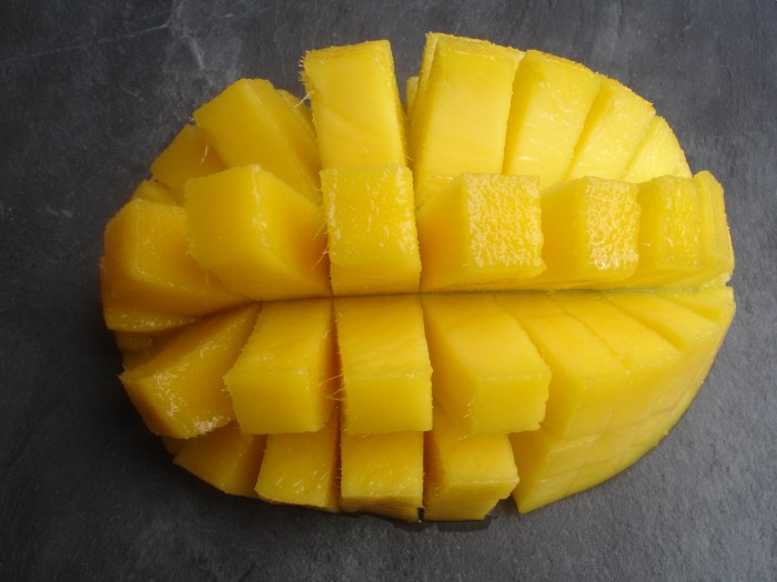 Mangue
