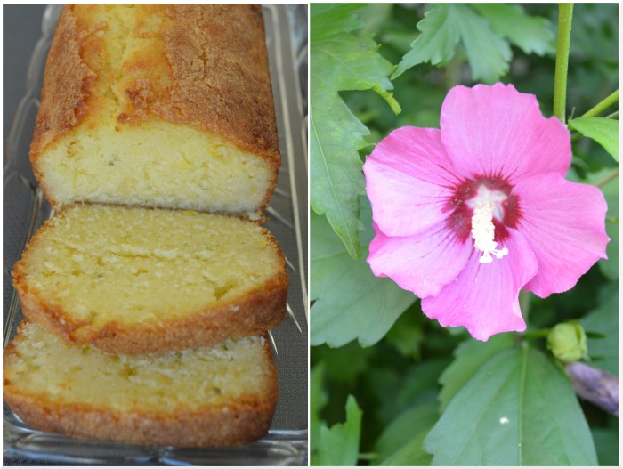 Cake au citron de Pierre Hermé