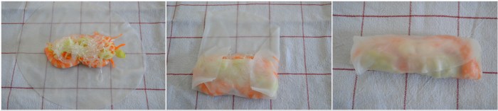 Rouleaux de printemps