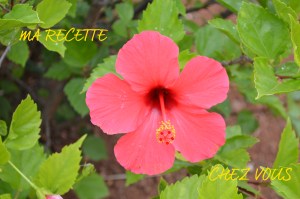 Ma recette chez vous