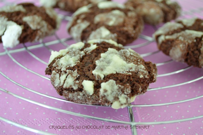 Craquelés au chocolat de Martha Stewart